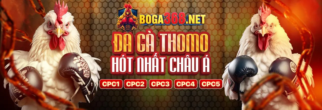 Nền tảng Cá cược Trực tuyến hi823 win 2026